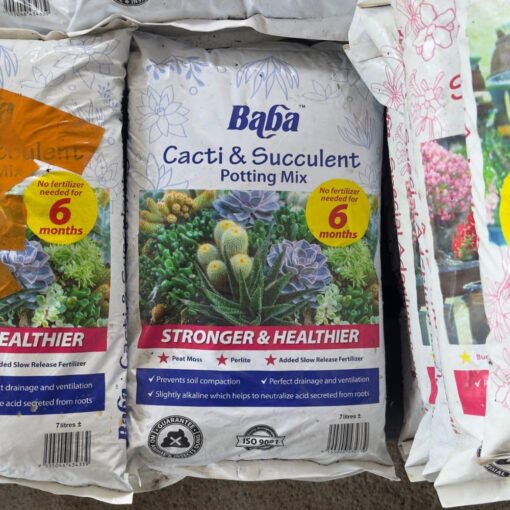BABA CACTI & SUCCULENT POTTING MIX (7L)