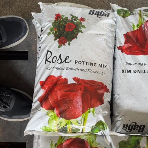 BABA ROSE POTTING MIX (7L)